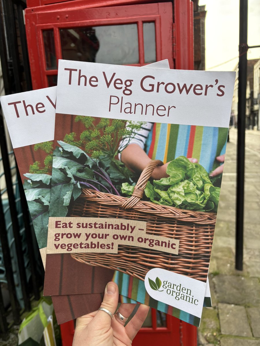 MedwayArtBox's tweet photo. Veg planners from @gardenorganicuk have gone in the box today, plus lots more seeds including:

Orange cosmos
Cosmic purple carrots
Baby’s breath gypsophila
Black beauty courgette
Asparagus pea
Nero di Toscana Kale

#seedsowing #allotment #gardening #medway #seedswap #seedysunday https://t.co/bHaUsFWVdT