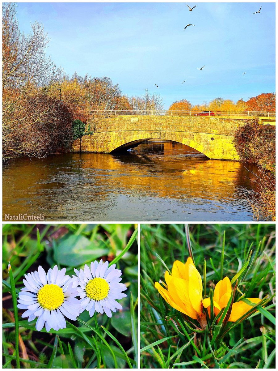 I wish everyone a pleasant spring mood and more positive emotions! 😉
🌿🌷🌿🐦🌿🌞🌿
#cuteeli #art #nature #NatureBeauty #NaturePhotography #positive #cute #garden #bloom #landscape #spring #flowers #river #bridge #environment