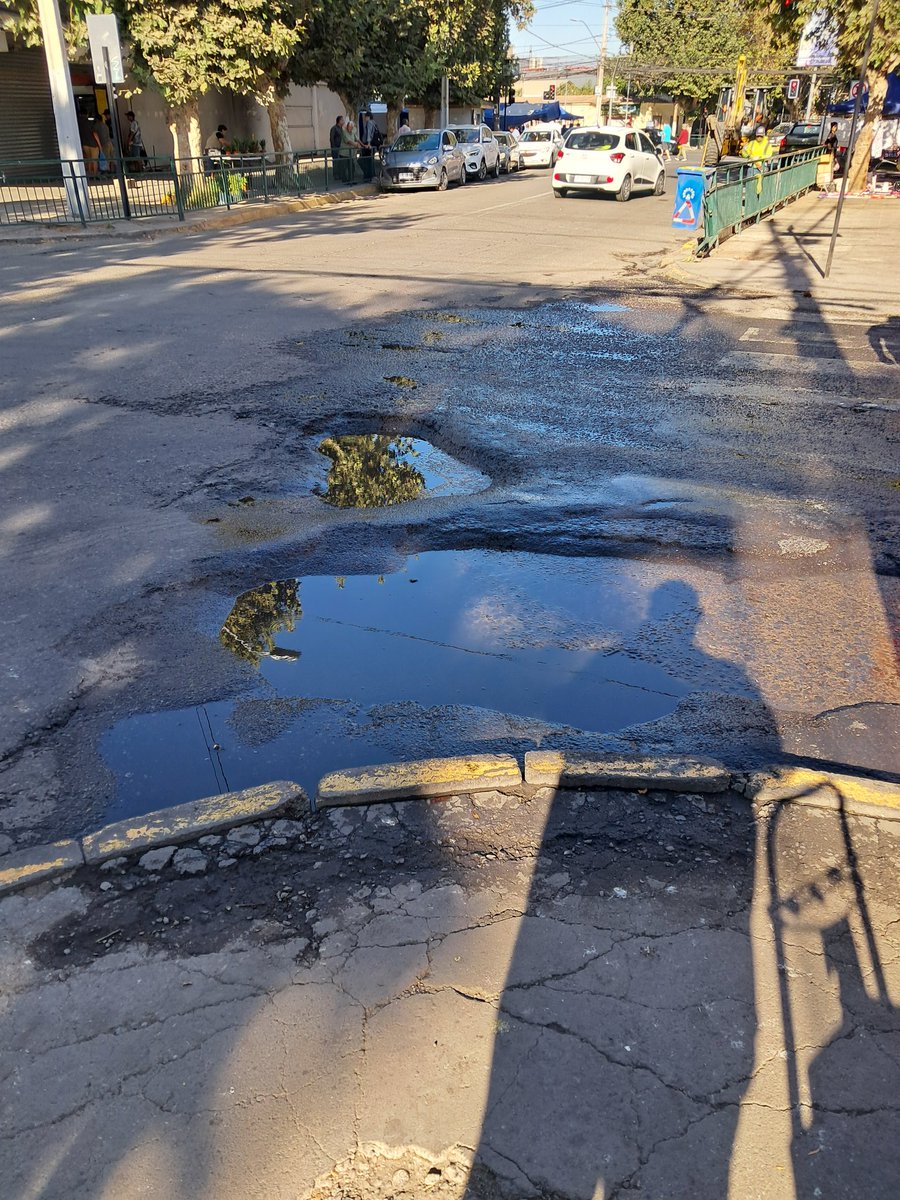 francisco tweet media