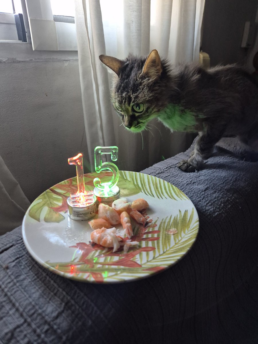 María Jesús Serrano tweet media