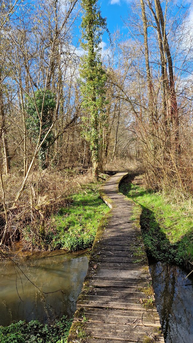 ThomasDeRijdt's tweet photo. #vrtweer #silsombos #kortenberg 14 graden https://t.co/YzE01Qb3Dl