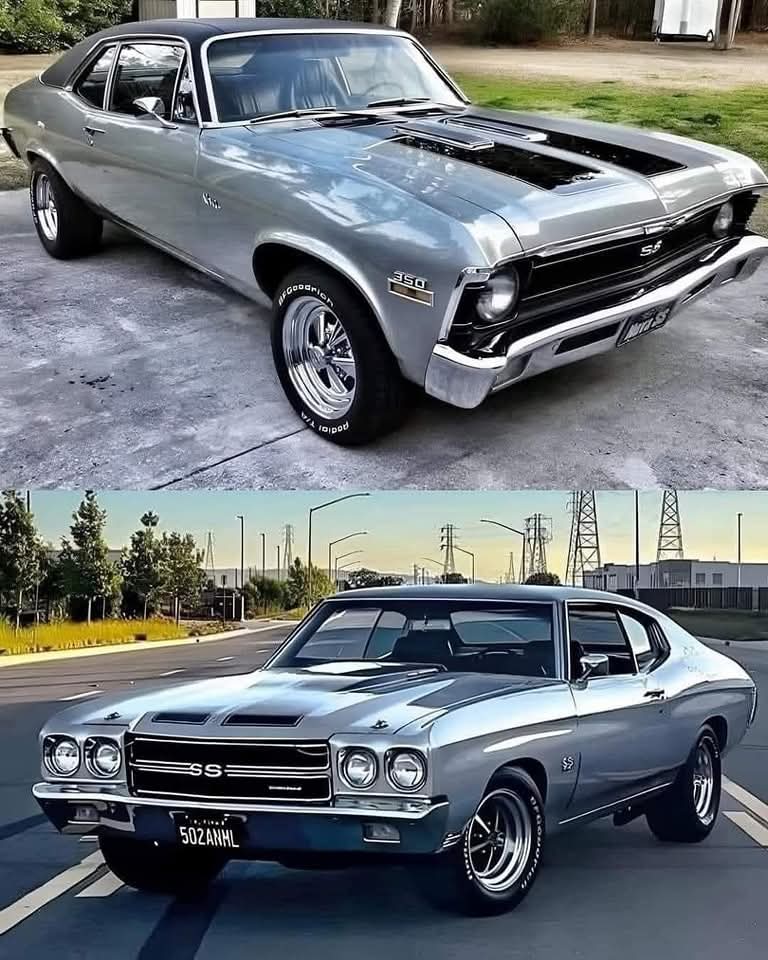 Mopar_Logic's tweet photo. Top or bottom? https://t.co/Z1KJL9EQ33