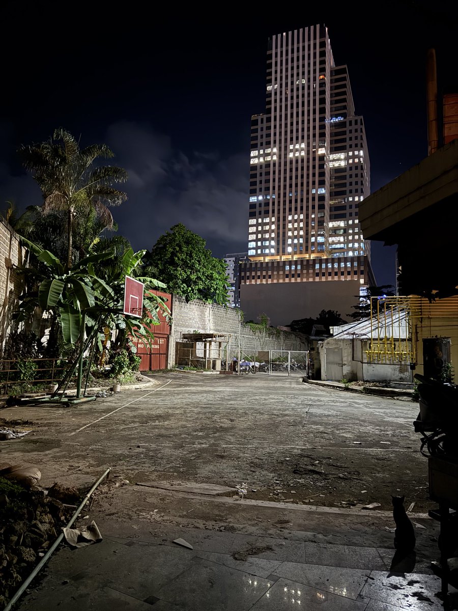 Raimondss's tweet image. #CatFlow