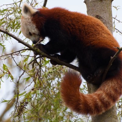 holly6030's tweet photo. #NewProfilePic https://t.co/dZR4pP000f