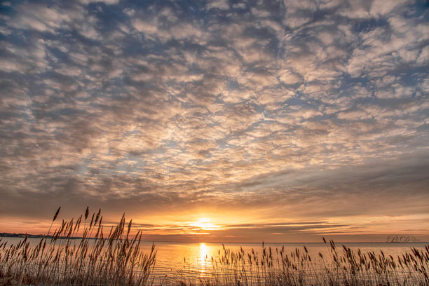 PatDeLucaImages's tweet photo. Blue Point Sunrise, Long Island NY @SamanthaAugeri.    @AddisonGreenWX.@StoneGrissom.@MattHammer12.@NickGregoryFox5.@StormHour.@WeatherNation. @Meteor_Mike.@News12LI.@WeatherGeoff.@SamChampion.@LeeGoldbergABC7. https://t.co/D0cSCrQIY5