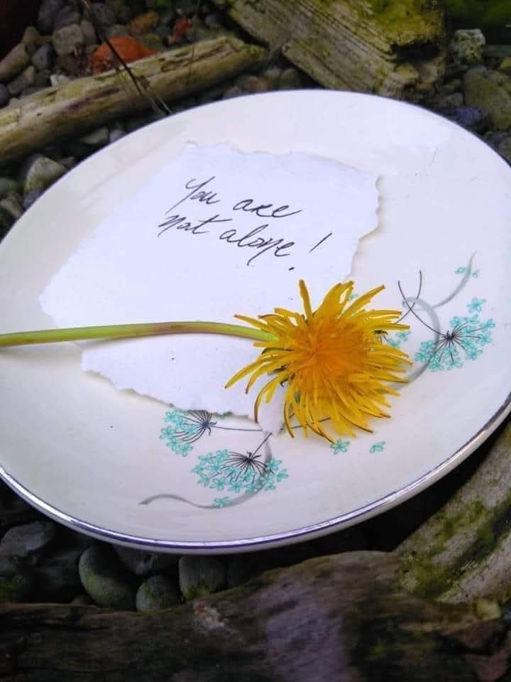 ABCforMH's tweet photo. We use the Dandelion as our symbol as its a cheerful little flower that can grow practically anywhere there is a pinch of soil or a crack in the footpath it symbolises the abilityto rise above lifes challengeshealing from emotional pain&amp; getting your wish fulfilled @elisaodonovan https://t.co/zhlRZzjzLN