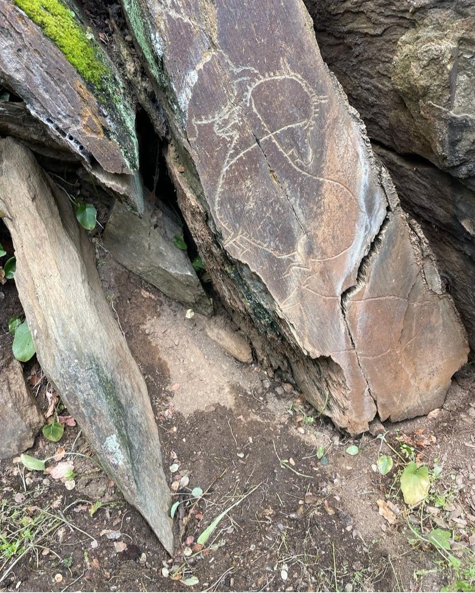 Tres 
cabras trepando por un risco,
en una escena que tantas veces observaría la persona que grabó esta roca en #FozCoa
Una de ellas gira la cabeza en esa técnica de animación usada ya en el arte paleolítico.
Retroscipiente.
Maravilla
panel Quinta da Barca
Hace unos 20 000 años.