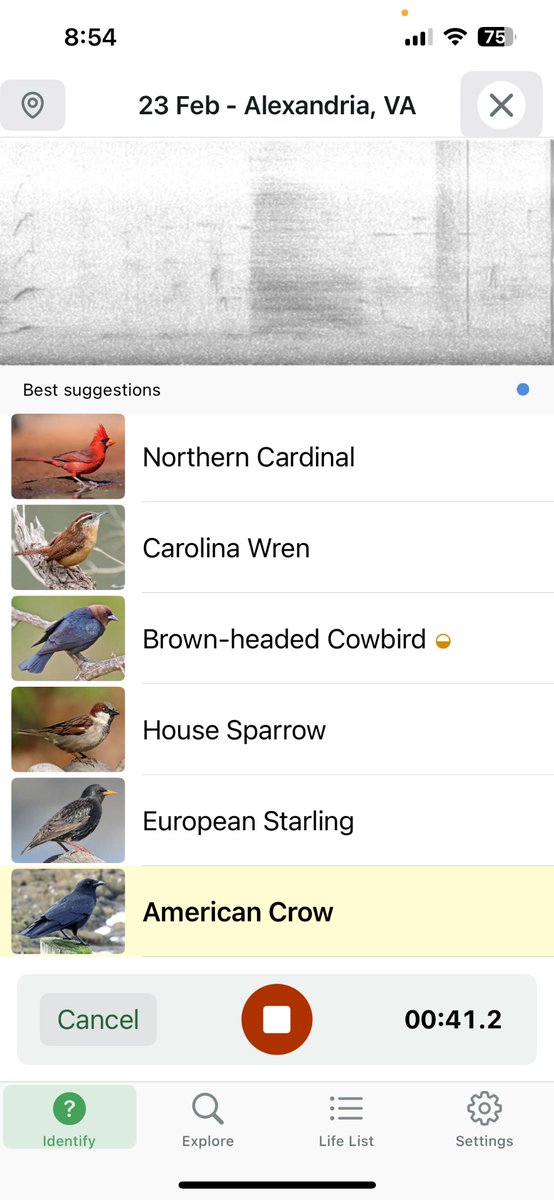 William “Bee” Stribling tweet media