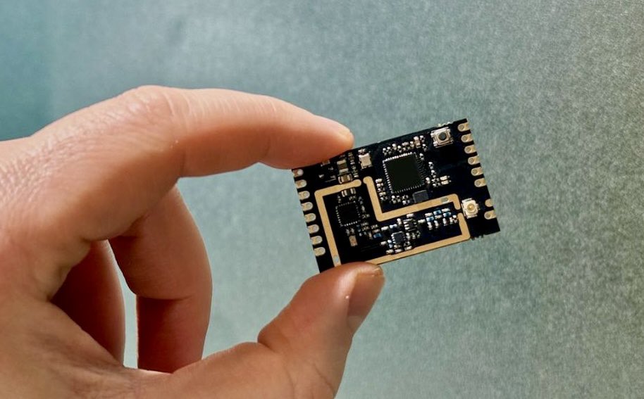 Roy🇨🇦 tweet media