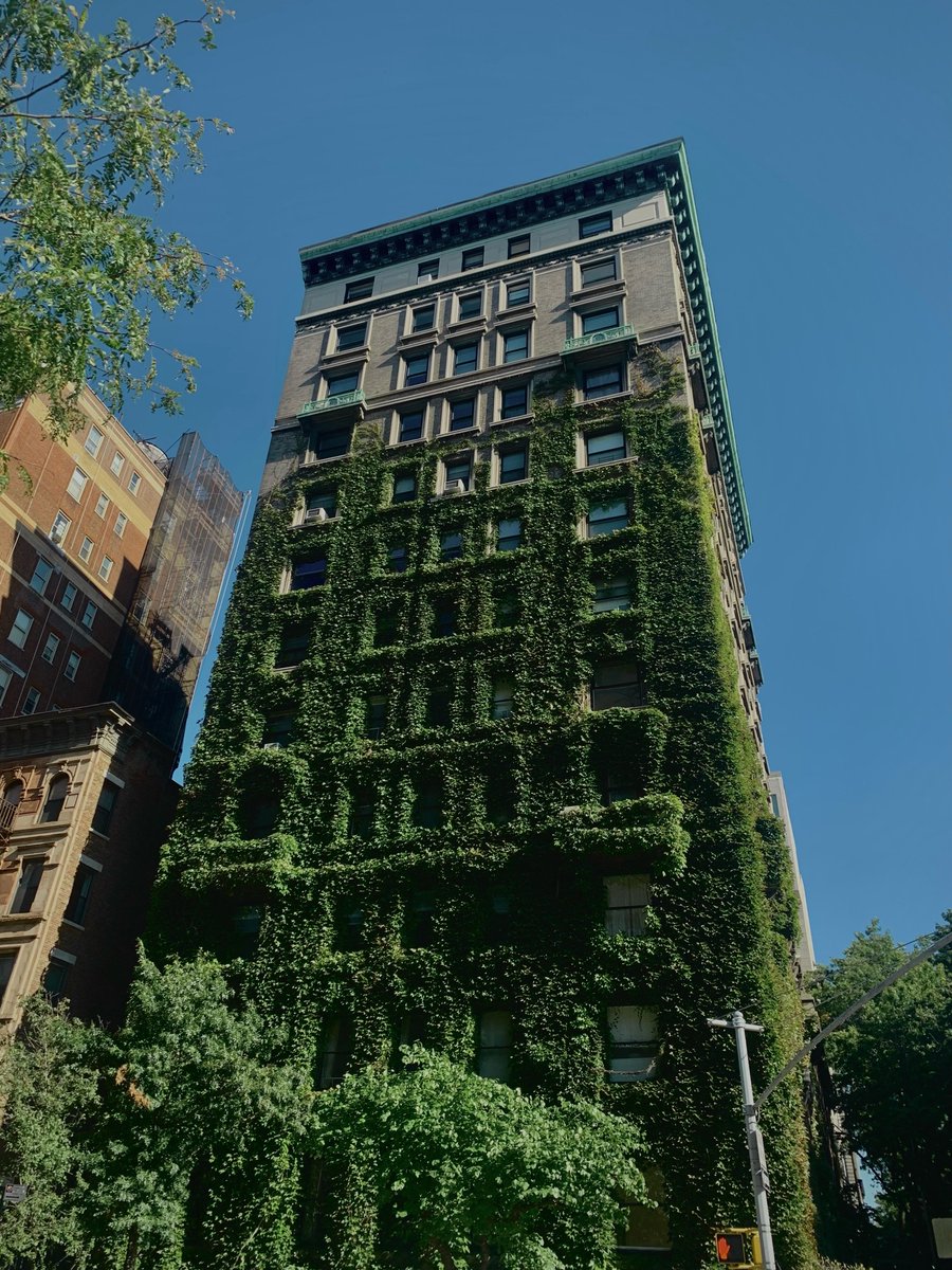 poetical photos. (@poeticalphotos) on Twitter photo 