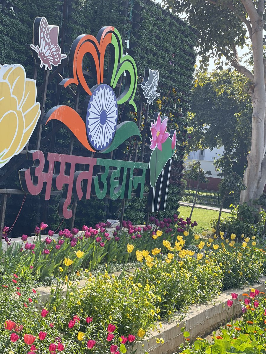 ashtechnovator's tweet photo. ✨ A day immersed in history, democracy &amp; nature! 🌿🏛️ Witnessing India’s grandeur at #AmritUdyan #RashtrapatiBhavan &amp; #Parliament House. A must-visit! 🇮🇳💙 #DelhiDiaries #TravelWithMe https://t.co/ZVTOSR2A2M