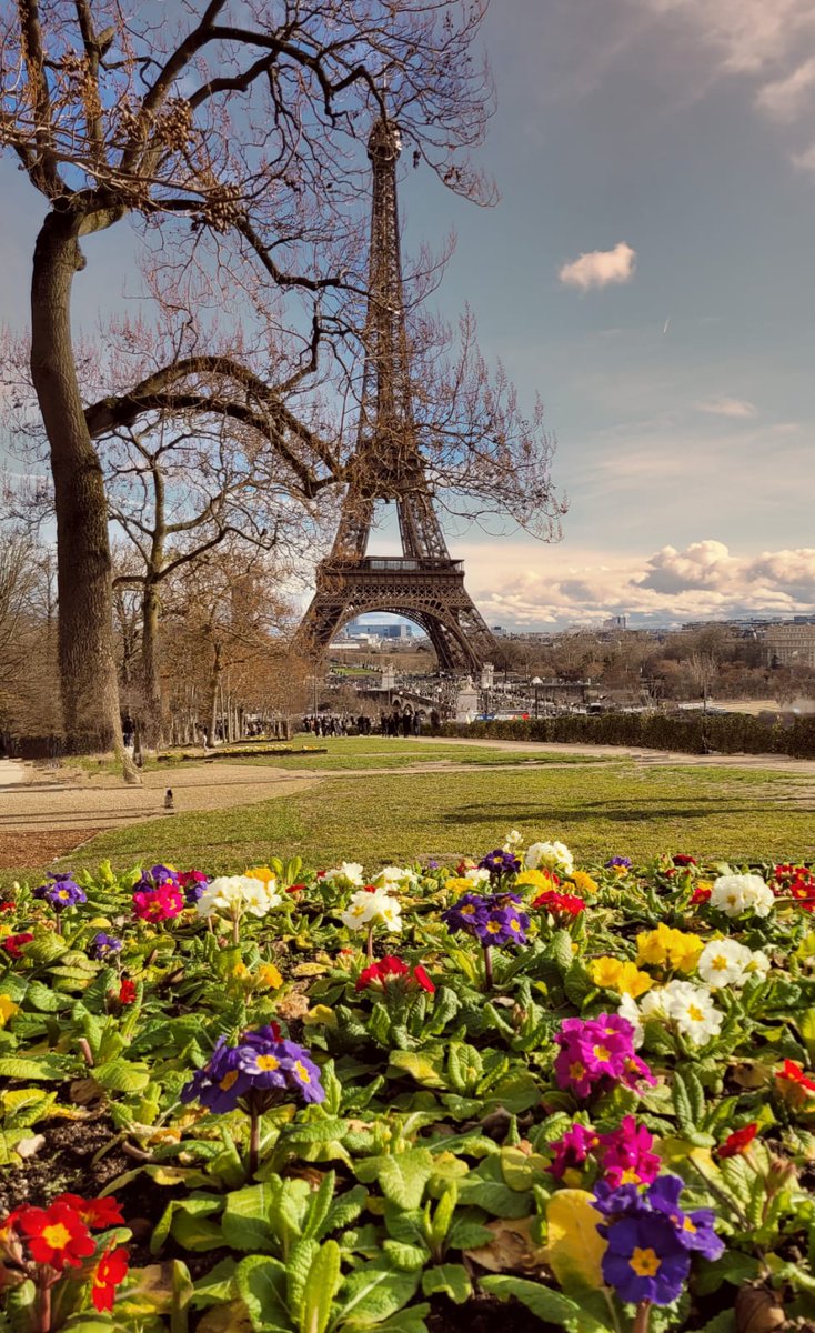 Spring is in the air...#Paris #Travel #Flowers #EiffelTower #SundayVibes #France #TourEiffel #Sunday #Parisjetaime  📸  Jean Richard  🌺🌺