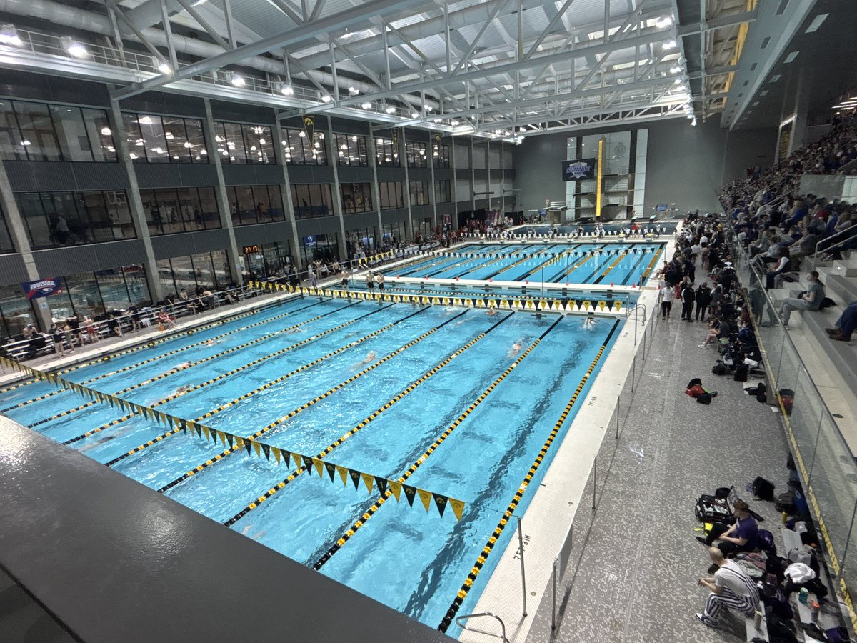 Josh Berlo (@du_athdir) on Twitter photo 👊🏆 to <a href="/DU_SwimDive/">Denver Swim & Dive</a> at the <a href="/TheSummitLeague/">The Summit League</a> Championships! So much fun and way to represent <a href="/UofDenver/">University of Denver</a> with excellent and class #ProudPios 👊🏆 to <a href="/DU_SwimDive/">Denver Swim & Dive</a> at the <a href="/TheSummitLeague/">The Summit League</a> Championships! So much fun and way to represent <a href="/UofDenver/">University of Denver</a> with excellent and class #ProudPios