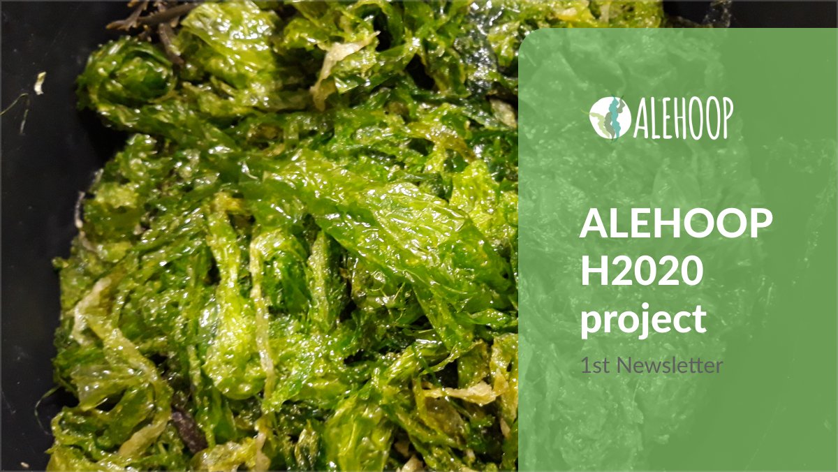 ALEHOOP 4th Newsletter! - mailchi.mp/f80bd4d9f23a/a…