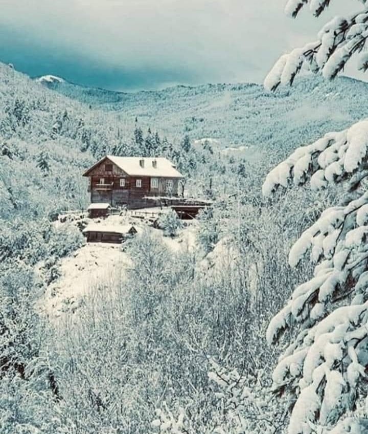 Ilıca Köyü

Pınarbaşı | Kastamonu

Fotoğraf:İmdat Demir