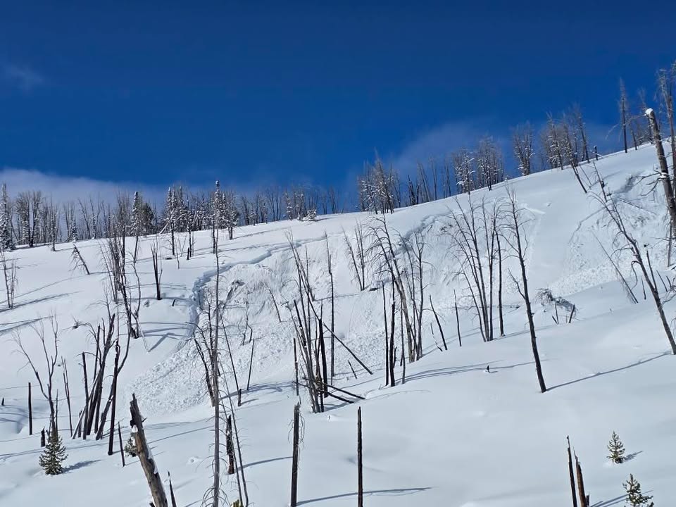 Feb 23: mtavalanche.com/forecast
Near West Yellowstone and the southern Madison and Gallatin ranges a person can trigger avalanches on weak layers 1-3 feet deep. Wind slab avalanches can be triggered where wind the last couple days drifted snow into slabs. Danger is MODERATE.