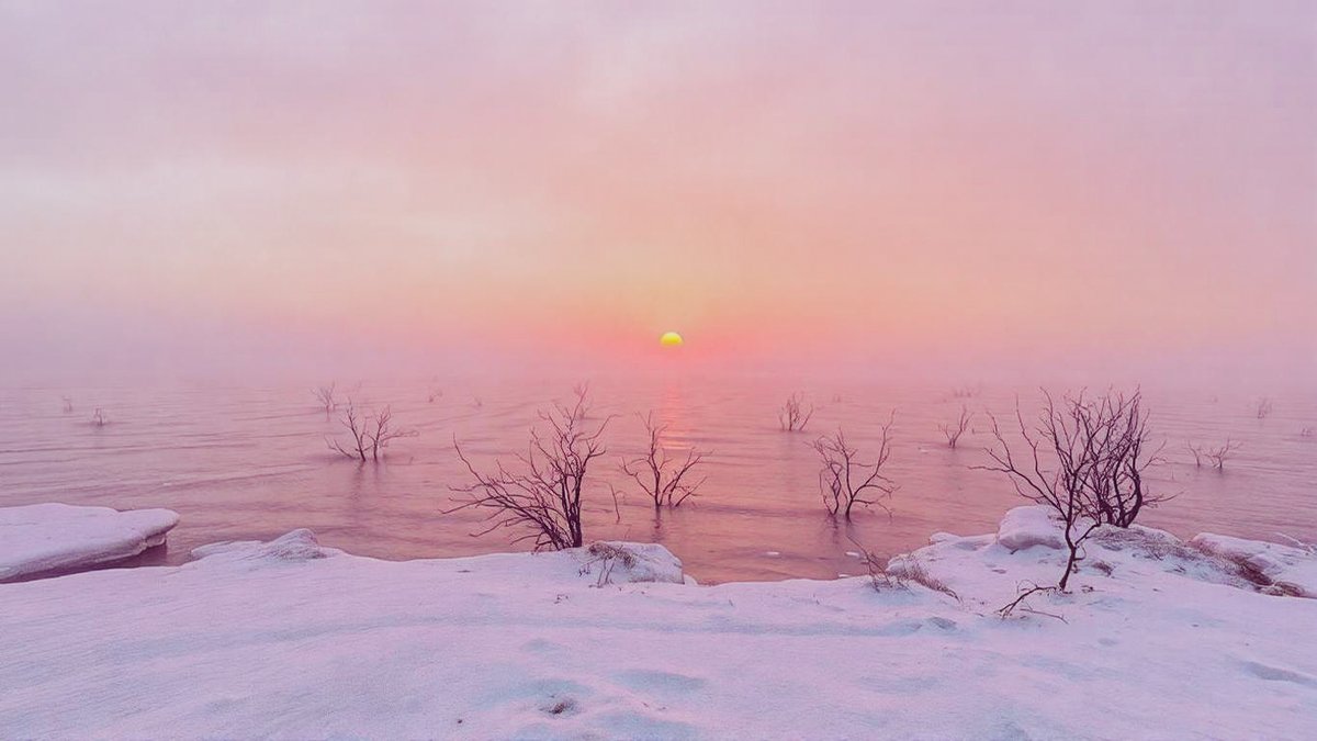 jfdupuis's tweet image. #Estrie #nature #jfdupuis