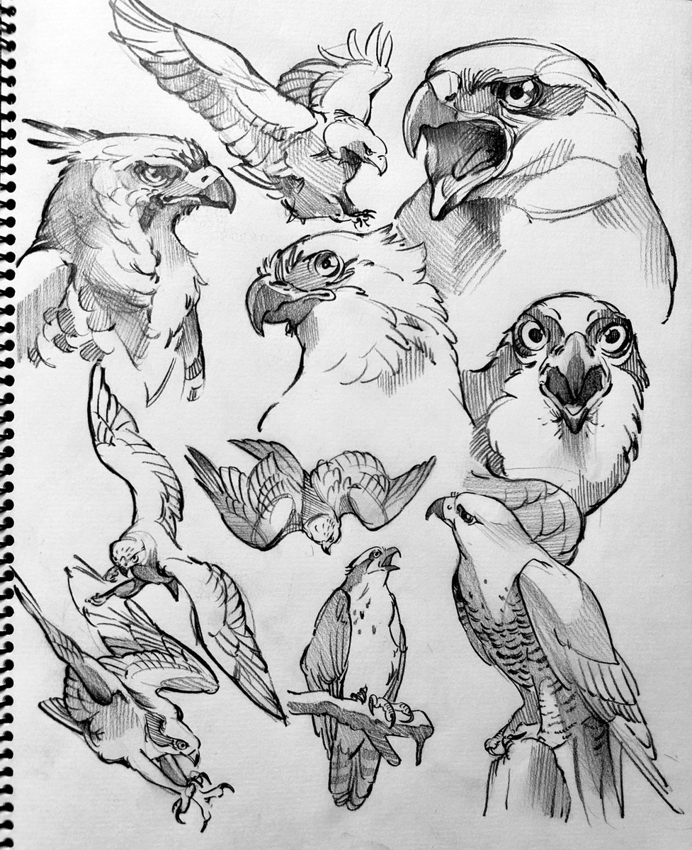 ミナミ/ Minami (@gapapanopa) on Twitter photo 