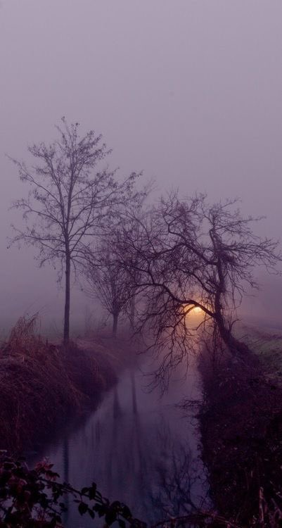 salt (@ancilladominii) on Twitter photo 