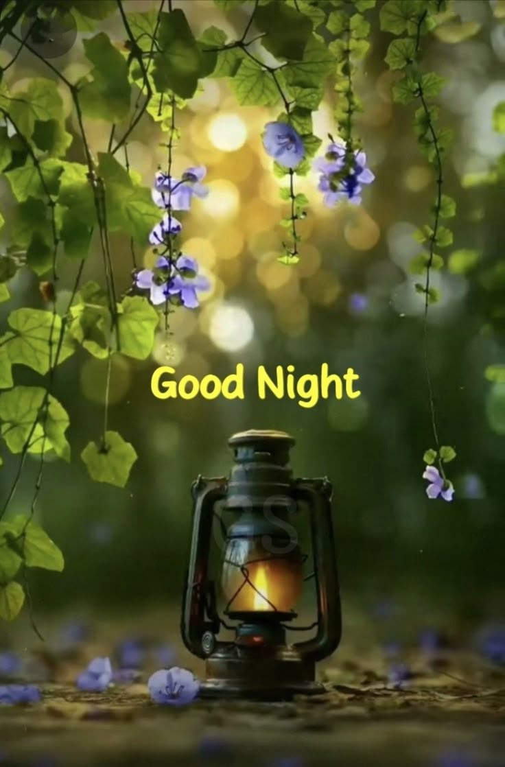 <a href="/Redrose_3333/">マリリン</a>