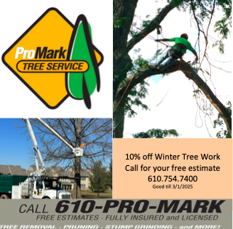 ProMark_Inc's tweet photo. Time is running out for our winter tree work discount program. If you have tree work needs, get your savings before March 1. Call the Pros @ ProMark 610.754.7400 https://t.co/tPS9Aze01g