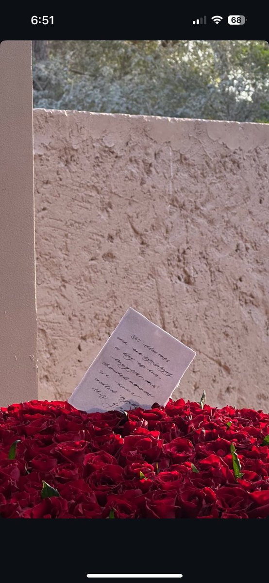 _7ebr's tweet image. 365 days and 365 flowers 🥀