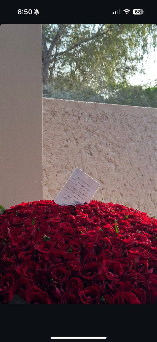 _7ebr's tweet image. 365 days and 365 flowers 🥀