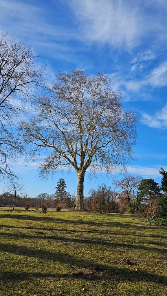 Vision (@vision_ske) on Twitter photo 