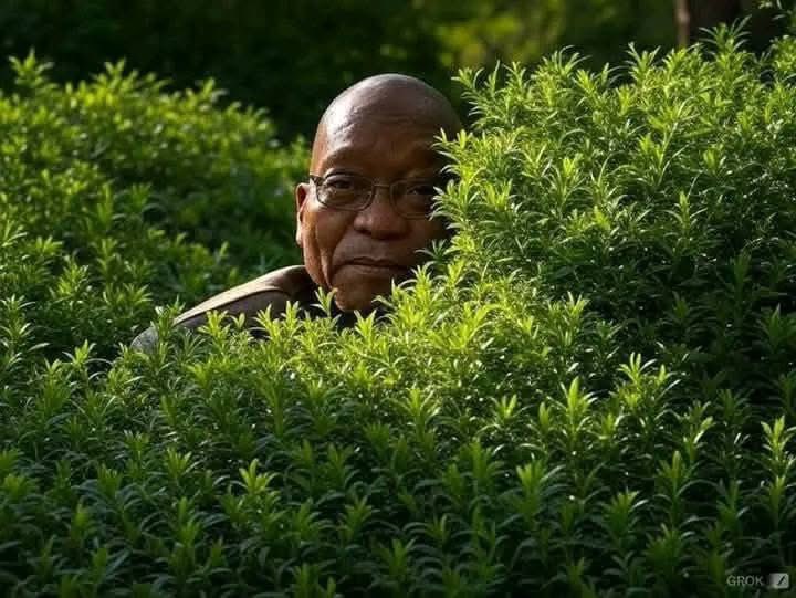 Historical Class (FC) tweet media