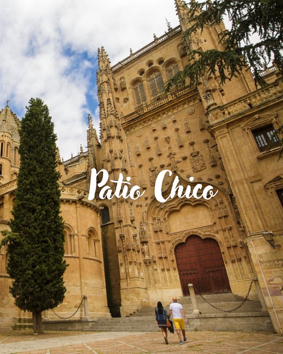 Turismo de Salamanca tweet media