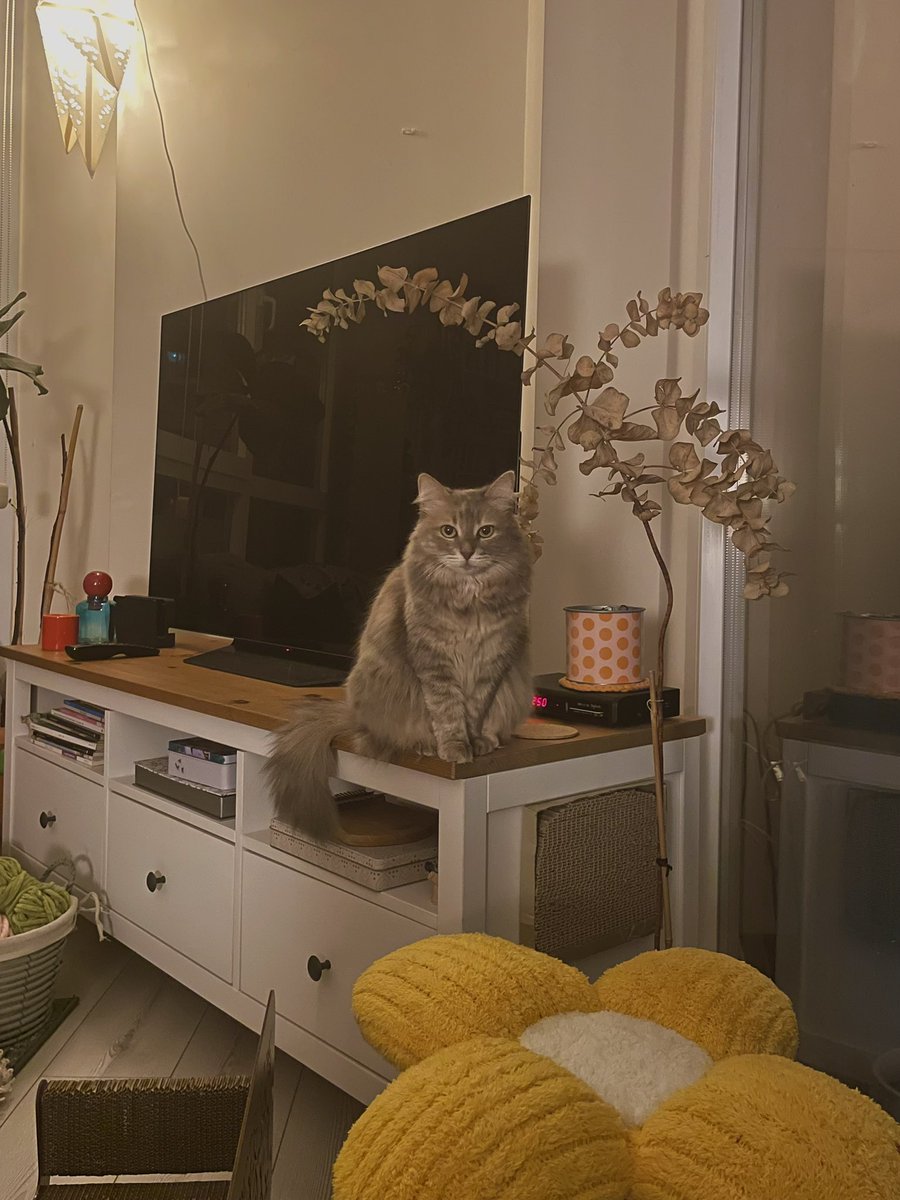 Zihin gücüyle beni kontrol etmeye çalışıyor