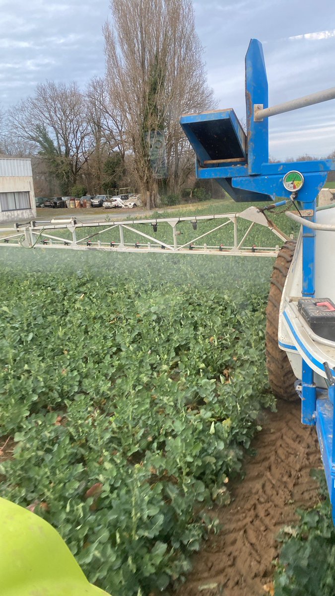 Journée colza. Solde azote en modulation grâce <a href="/Atfarm_Global/">Atfarm</a> et protection charançons + bore ce soir