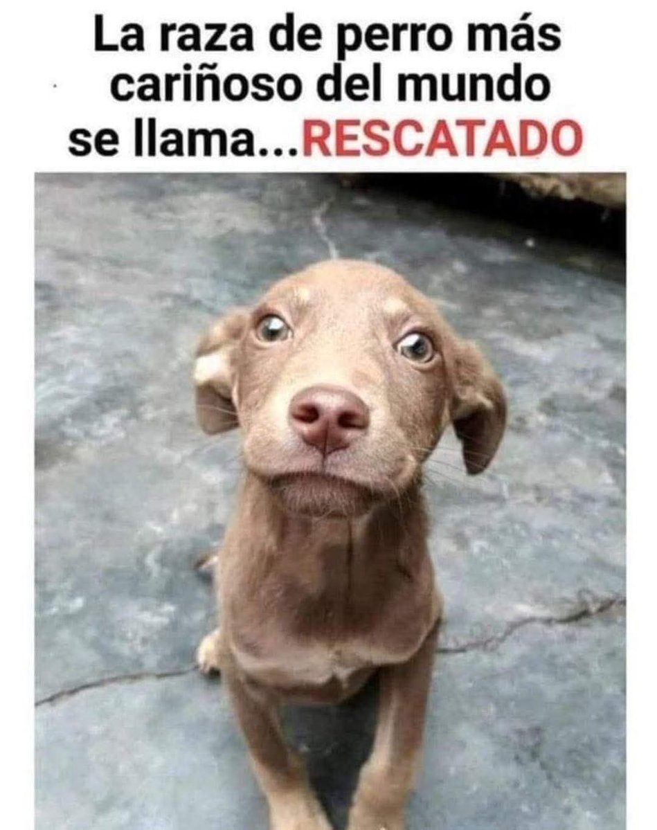 Jacqueline Camargo (@jacquim33) on Twitter photo 