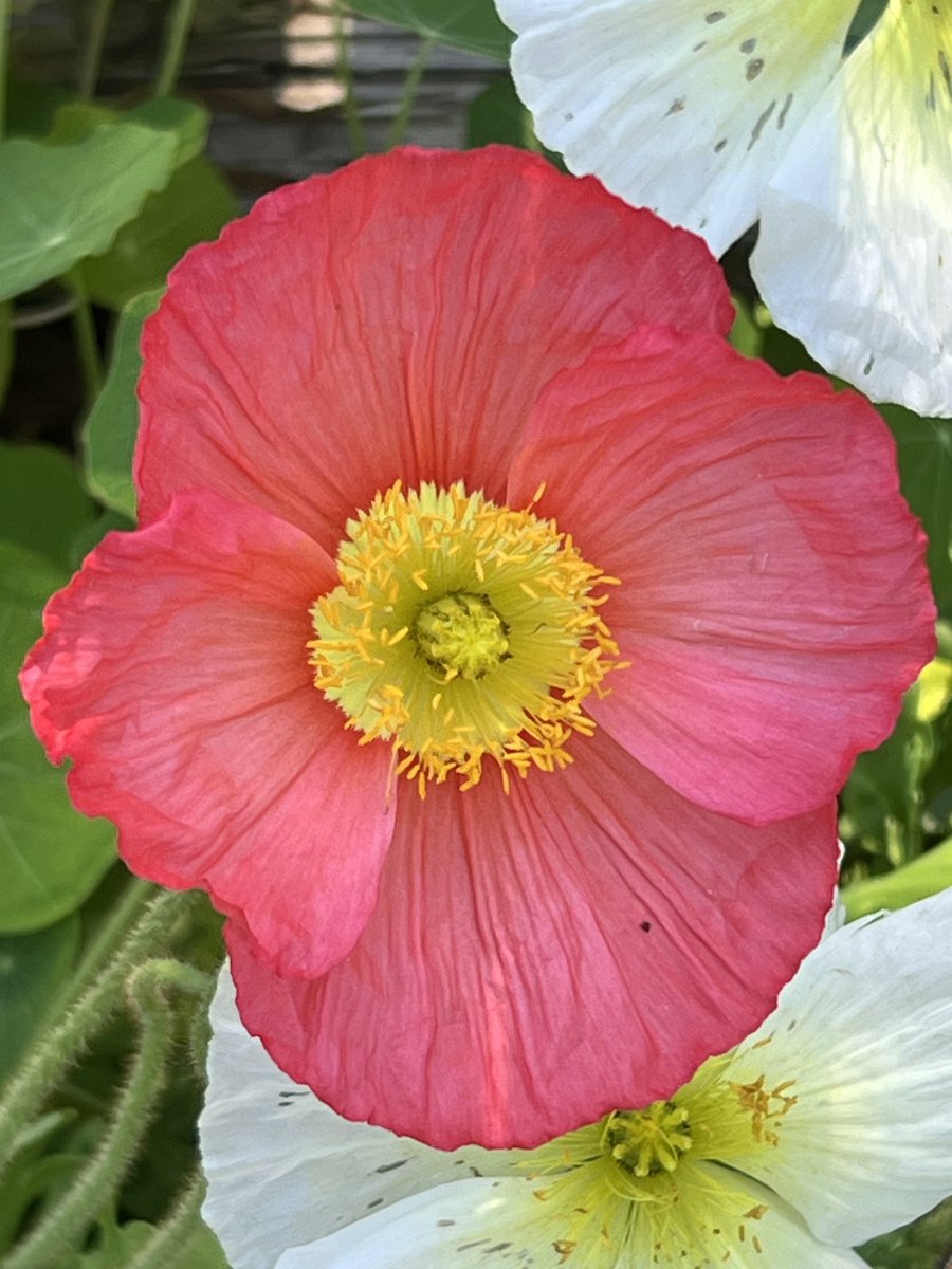 Everything is like this in its own way