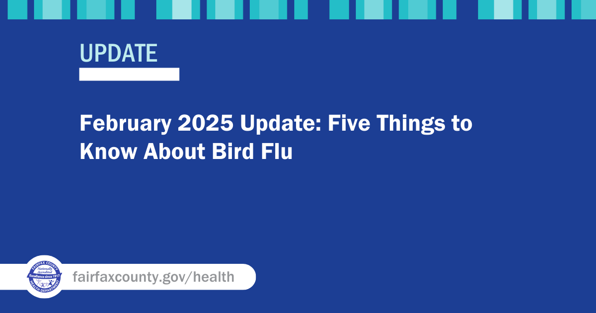 In some areas of the U.S., avian influenza (H5N1) is spreading among wild birds, poultry, and even some dairy cows. While the risk to the public remains low, it’s important to stay informed and take precautions. Here are five things to know about bird flu: bit.ly/3QwdbZo