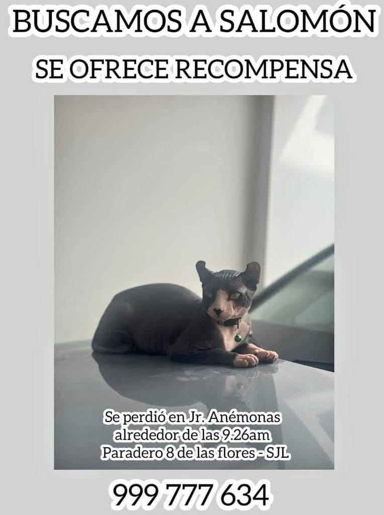 Arl Rescate | Arlette Jaquelyn Salazar 🇵🇪 tweet media