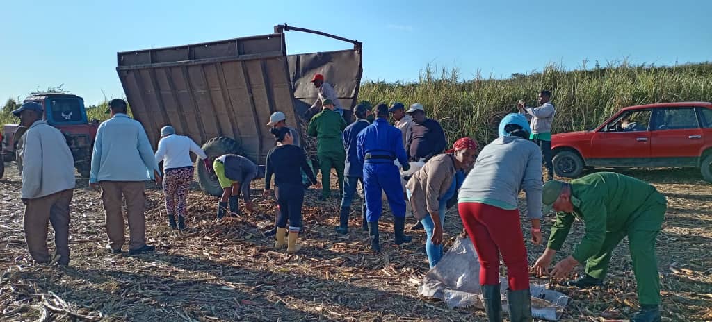 Inició la jornada de domingo en #SaguaLaGrande con trabajo voluntario en la UBPC Tito González, nos acompañó @Colina_VClara primer Secretario del Comité Provincial del Partido, además integrantes de las organizaciones políticas y de masas del municipio. 
#JuntosPorVillaClara