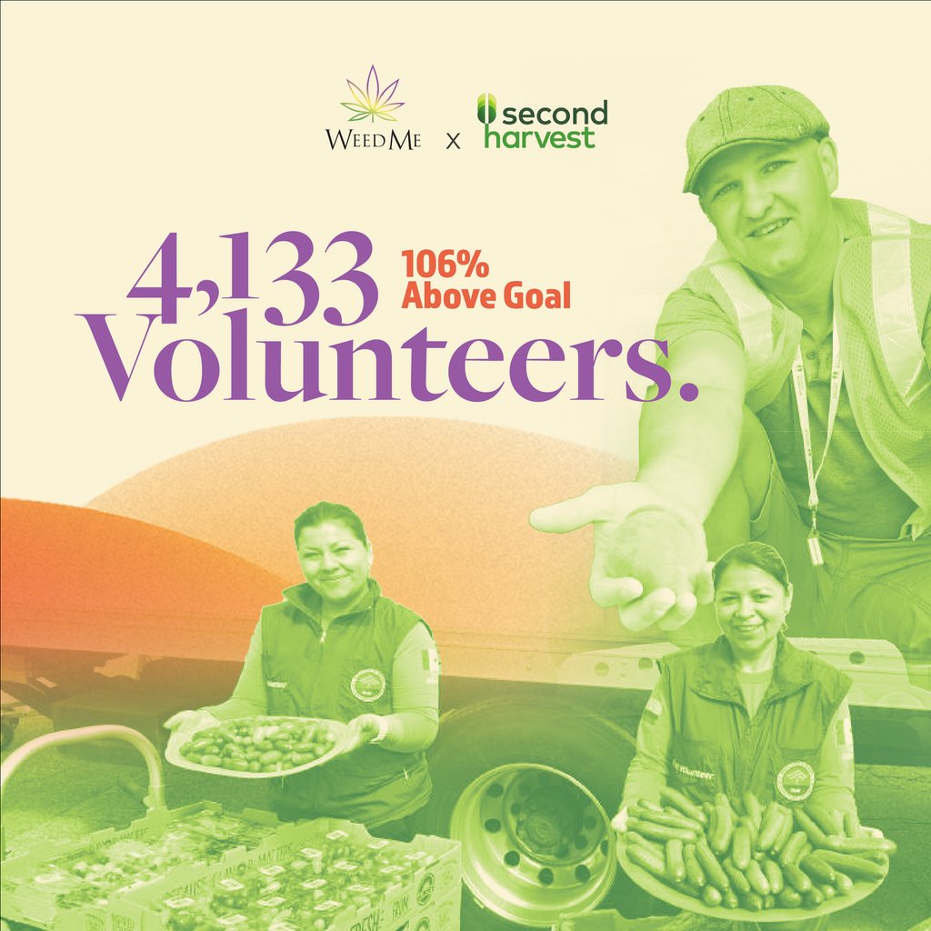 In 2024, 4,133 volunteers donated their time to Second Harvest, surpassing expectations by 106%! 💪

Thank you to the volunteers who make food rescue possible. 

Check out <a href="/secondharvestca/">Second Harvest | Deuxième Récolte</a> and our website to find out ways you can join us in our efforts💚

#CommunityBuilding