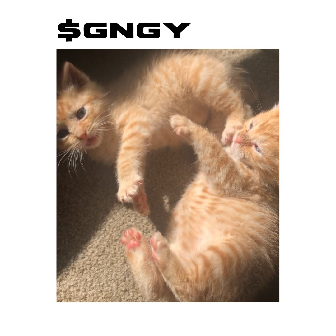 Gm everyone hope ur days going good, 
follow our socials fam check out the web