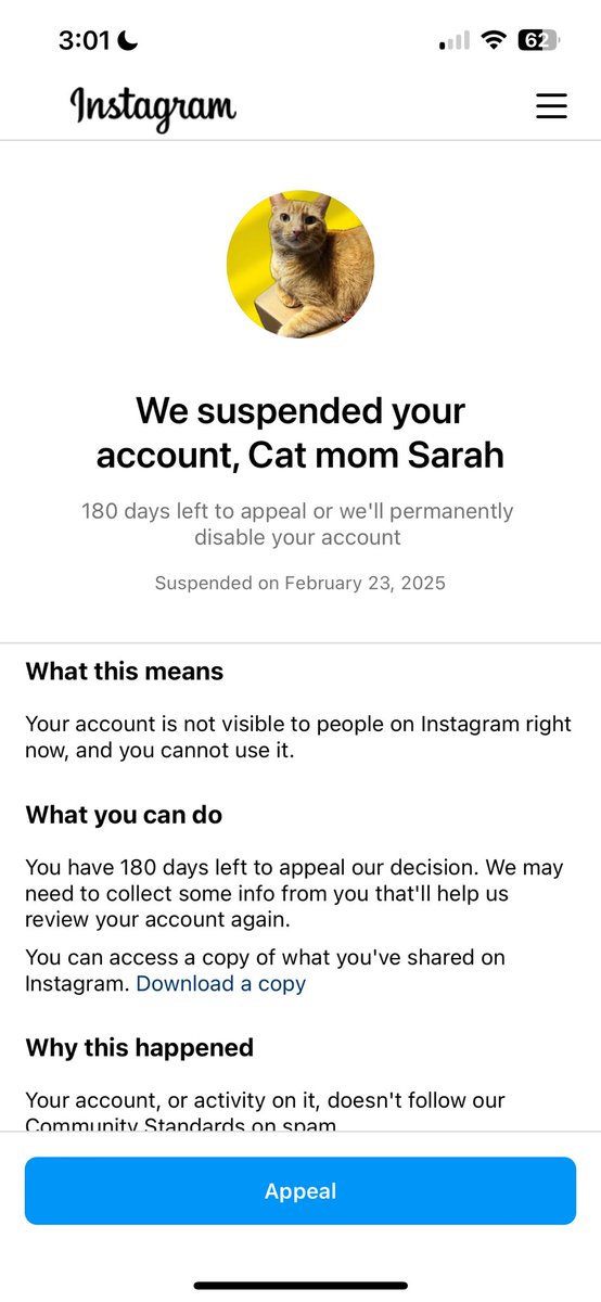 3catfriends's tweet photo. wow my instagram account was suspended and it’s not even letting me appeal cus when i enter my number it just says try again later or enter a different number ? @instagram  what is going on?  i was just messaging people asking them to help with the cat :( https://t.co/bR3VAQ9gAg