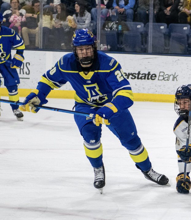 Alaska Hockey tweet media