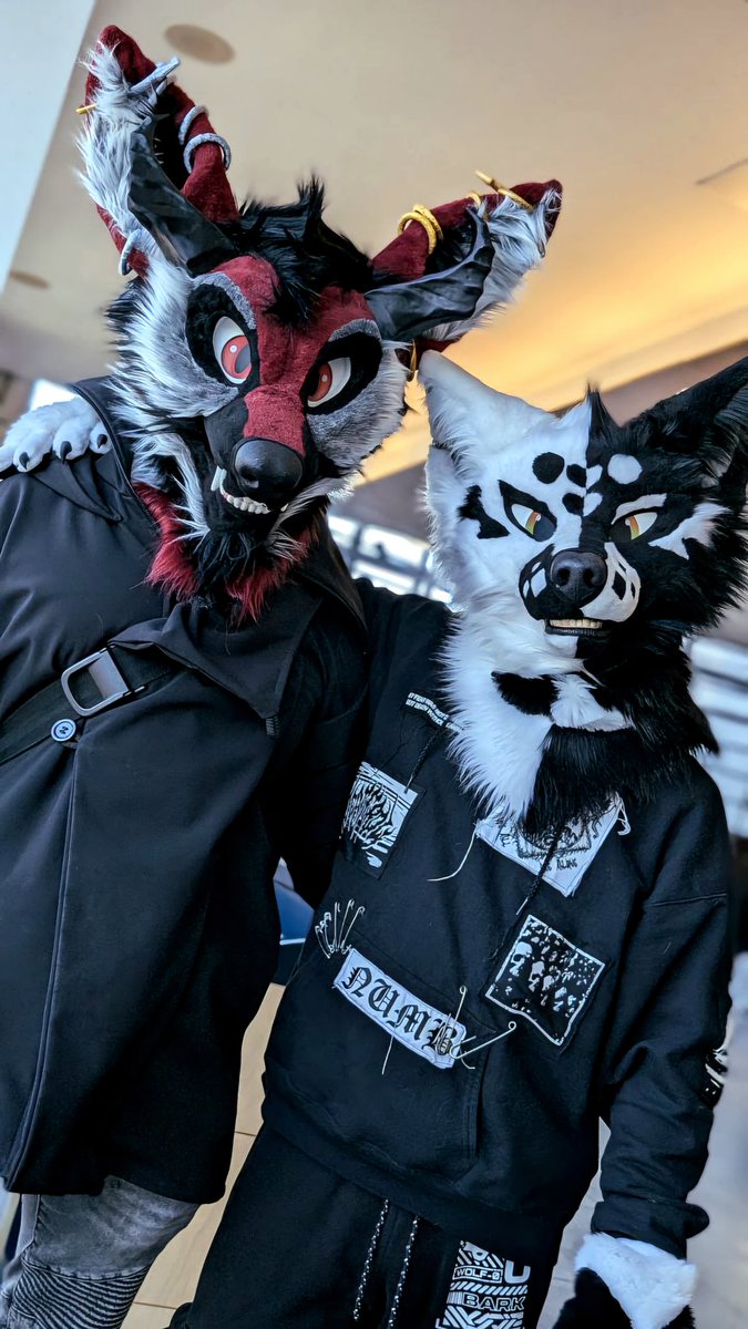 𖤐Samael The fallen𖤐 (@samaelthewolf) on Twitter photo Messing around at the quebec city comiccon-carnival edition 2025 with the gang !
🐺:ixil
📸:<a href="/YazurWolf/">Yazur 🧀🐺 @ PCD</a> Messing around at the quebec city comiccon-carnival edition 2025 with the gang !
🐺:ixil
📸:<a href="/YazurWolf/">Yazur 🧀🐺 @ PCD</a>