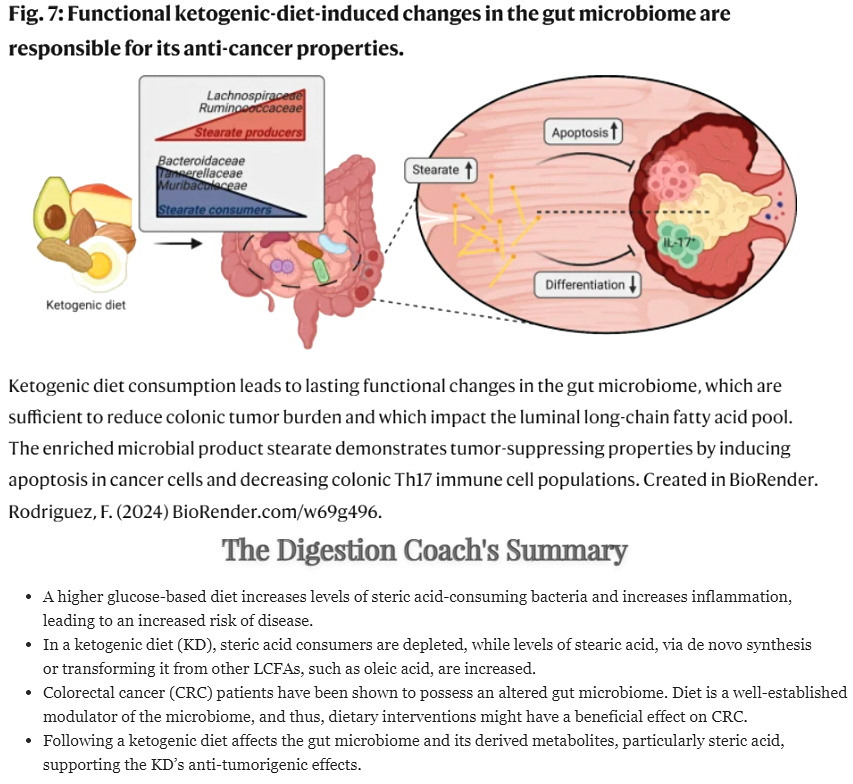 advancedhealing's tweet photo. "Could your diet 🥩🥚🥑shape your risk of disease? 🔥🚨 A high-glucose diet fuels inflammation by increasing stearic acid-consuming bacteria. But a #KetogenicDiet shifts the balance, supporting anti-tumor effects! 🧬💪 #GutHealth #Microbiome #CancerResearch" #ColorectalCancer https://t.co/EYSlyZ4LGl