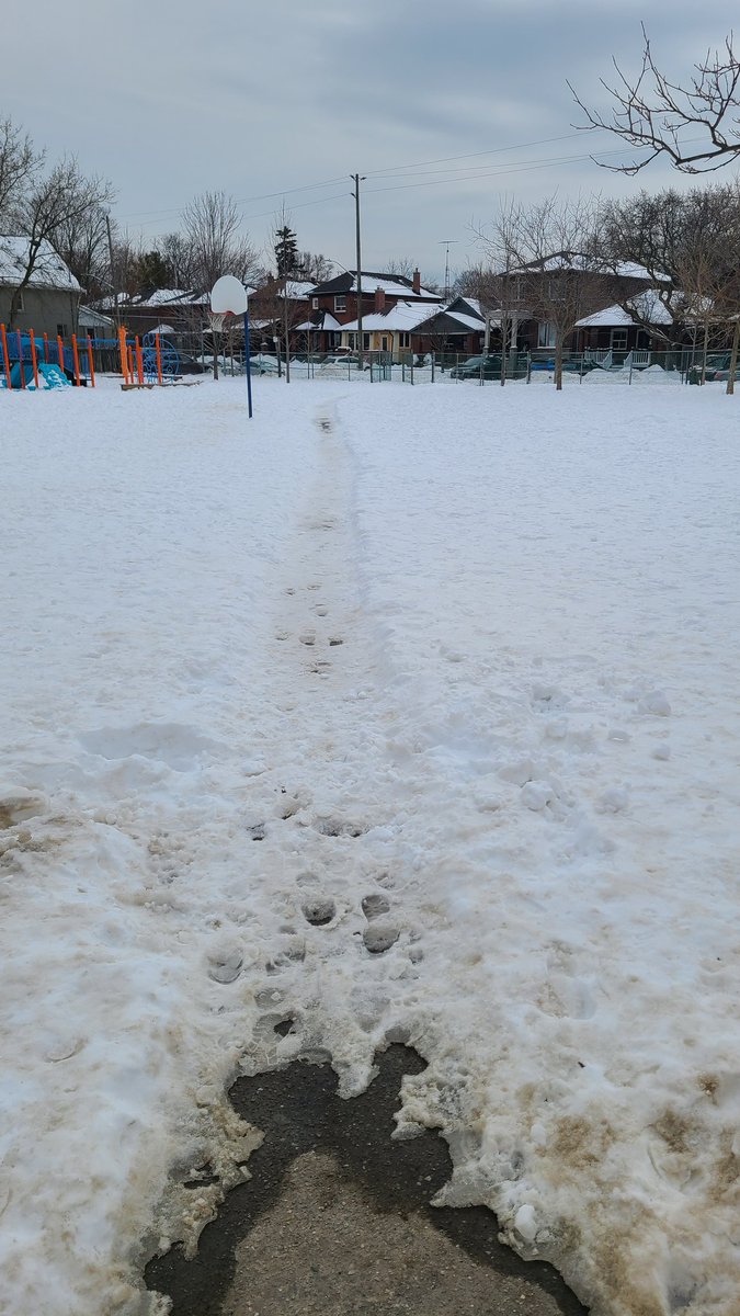Four O Tunnel. tweet media