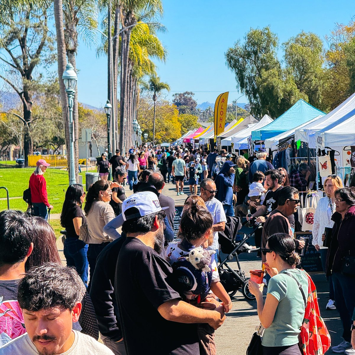 OMG! You can not ask for a better day to come out and visit the Chula Vista Farmers Market. I love to see so many people out here supporting local. #chulavista