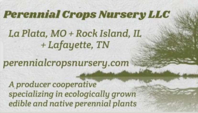 SUNeyeDeLIGHT's tweet photo. Looking for native local grown plants!? Wonderful nursery that I love to learn &amp; grow with. Very reasonable prices and all grown natural to benefit us &amp; our community. Huge Selection of Trees, Perennials, Herbs, Flowers, and Shrubs. I planted food forest with this Nursey! https://t.co/4JOXIkRQVM