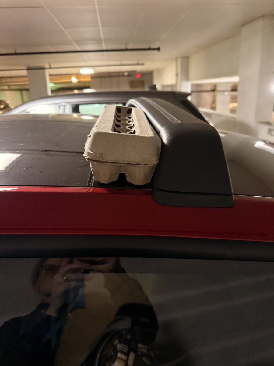 Thank you to the random act of kindness from a fellow motorist who pulled up beside me to let me know my eggs were on my roof. These are farm fresh, and I would have hated to lose them on the highway.