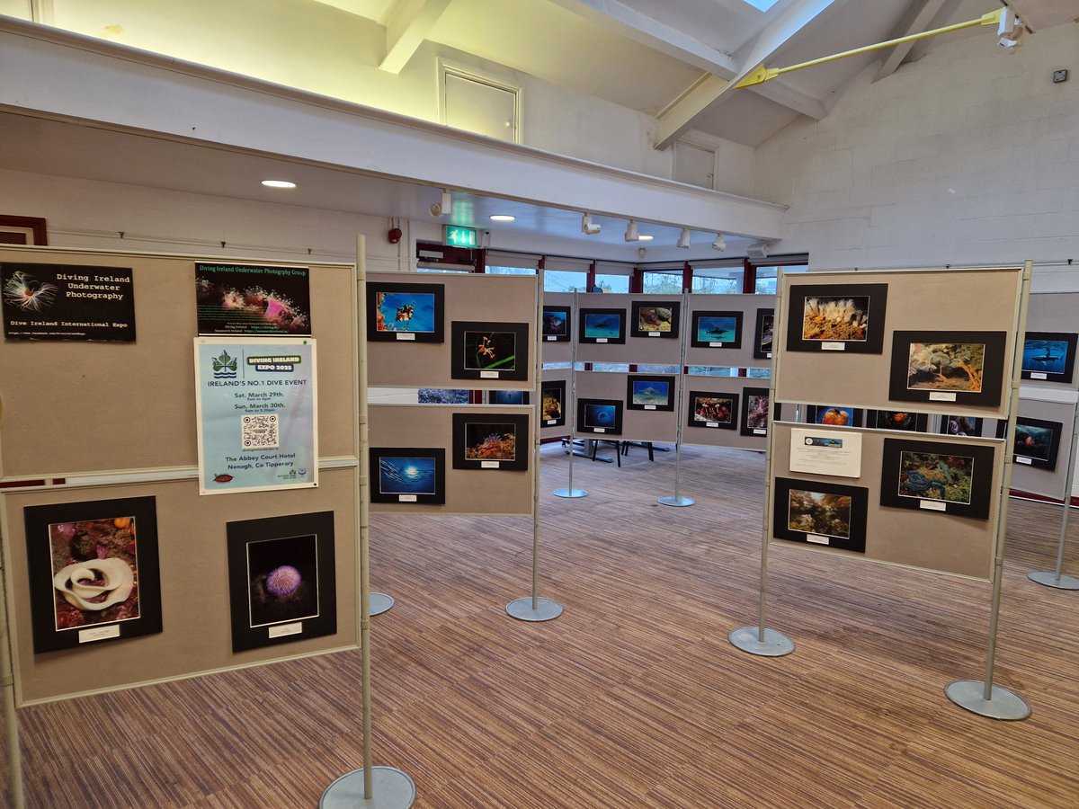 The underwater photography exhibition that featured at last year's Dive Ireland Expo in Dublin is going on display in Nenagh again. It will be formally launched at the Civic Offices, Limerick Road, Nenagh, on Thursday, March 6, at 7pm, with guest speaker Mark O'Leary.