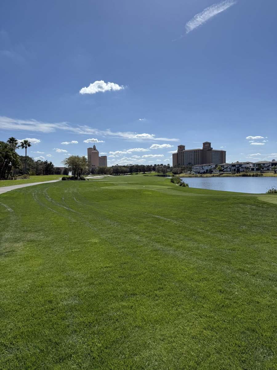 Gavin Blair tweet media