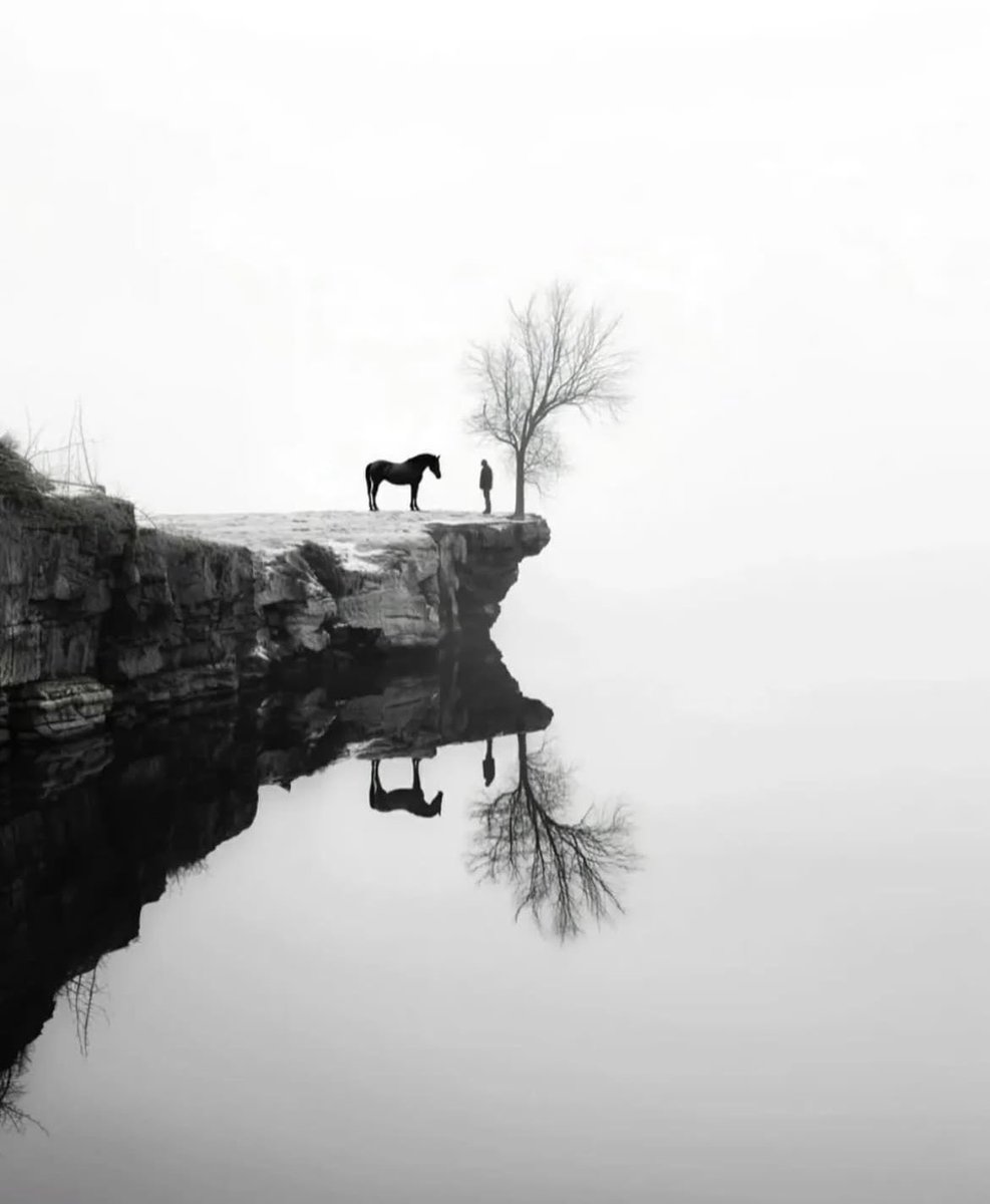 earthcurated's tweet photo. https://t.co/YDkvYCsNkZ